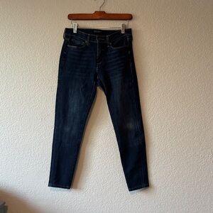 Banana Republic Premium Denim Jeans - Deep Blue